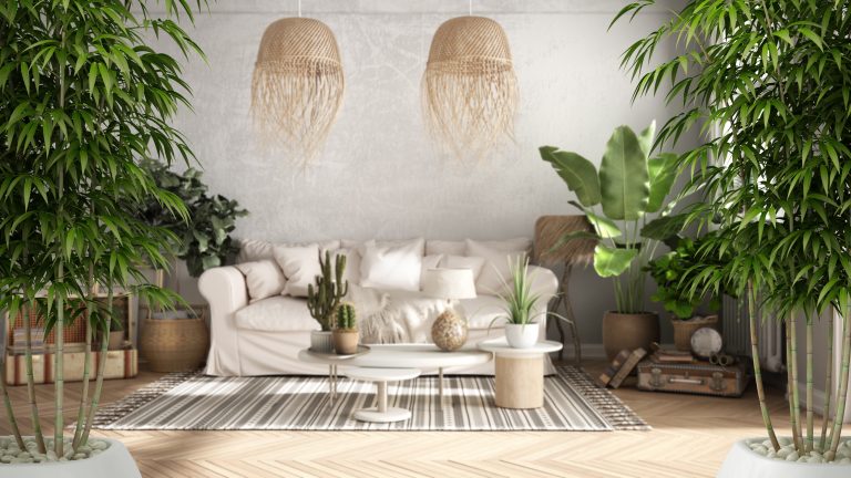 zen,interior,with,potted,bamboo,plant,,natural,interior,design,concept,