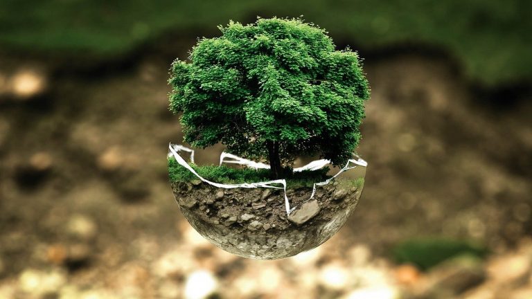 environmental protection écologie