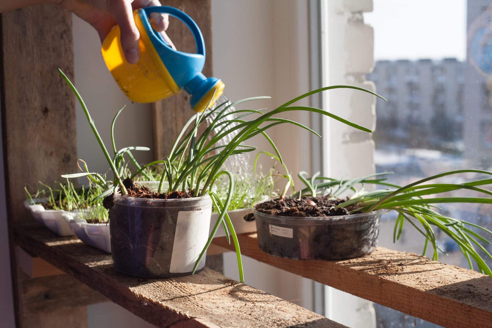 Petit arrosoir d'intérieur - Nos accessoires pour vos plantes vertes