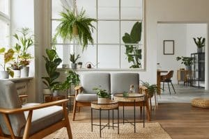 Lire la suite à propos de l’article Idées déco avec des plantes d’intérieur