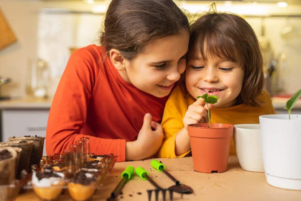 cute,children,look,with,love,at,green,sprout,in,pot.